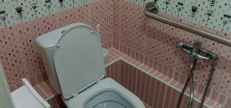 Meeting Diverse Needs With Accessible Restroom Solutions in Lochearn, MD